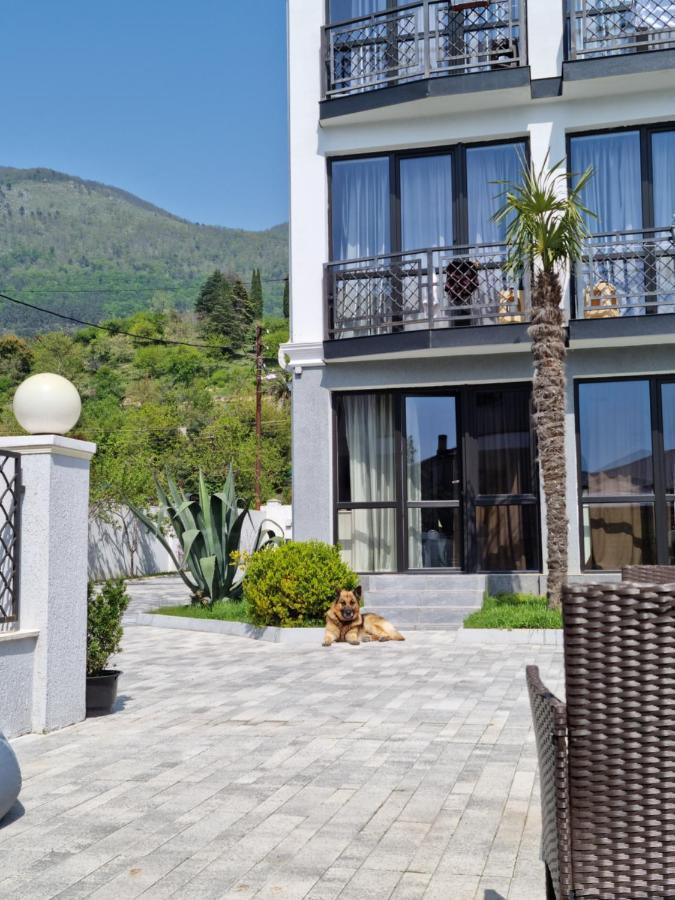 Gega Hotel Gagra Ngoại thất bức ảnh